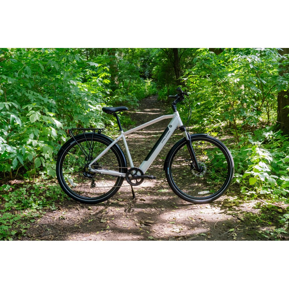 Falcon Horizon - Special Offer