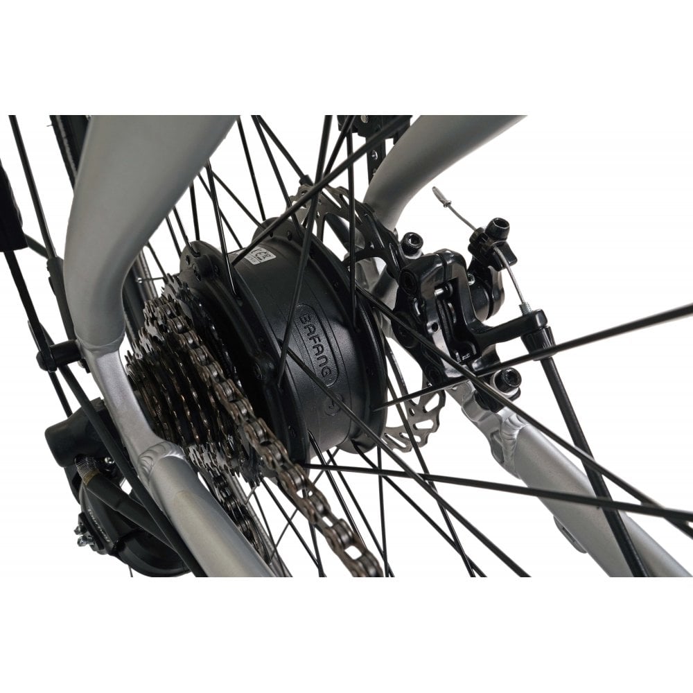 Falcon Horizon - Special Offer