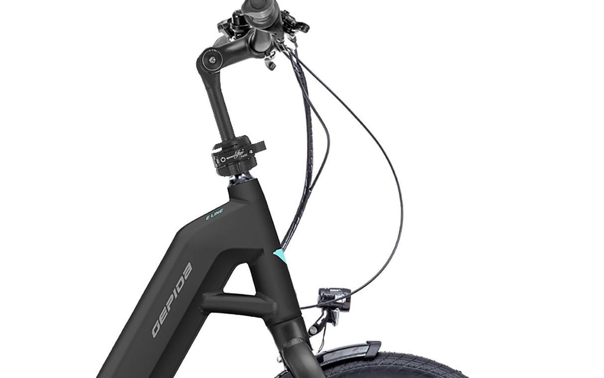 Gepida PUGIO NX7-INT