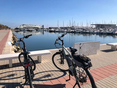 Janet and Brian's adventures with their Victoria eBike