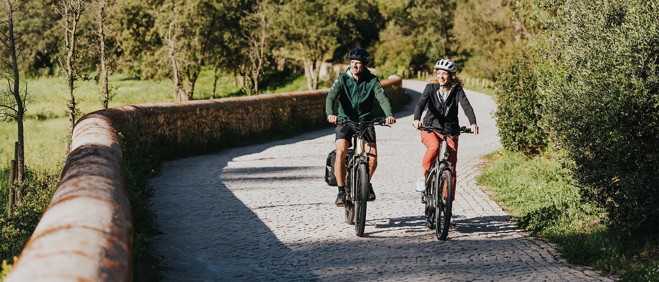 Electric Bikes