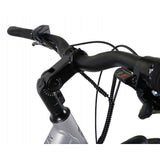 Falcon Horizon - Special Offer