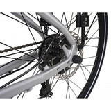 Falcon Horizon - Special Offer
